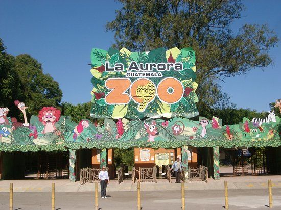 La Aurora Zoo
